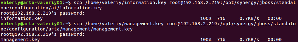 Копирование файлов ключей через терминал