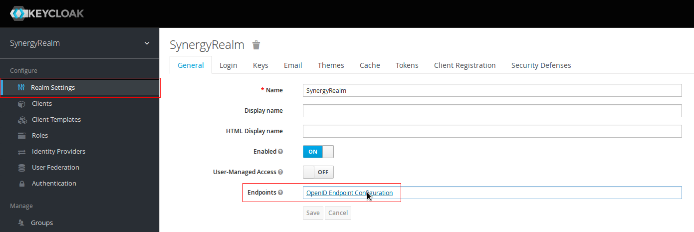 OpenID Endpoint Configuration